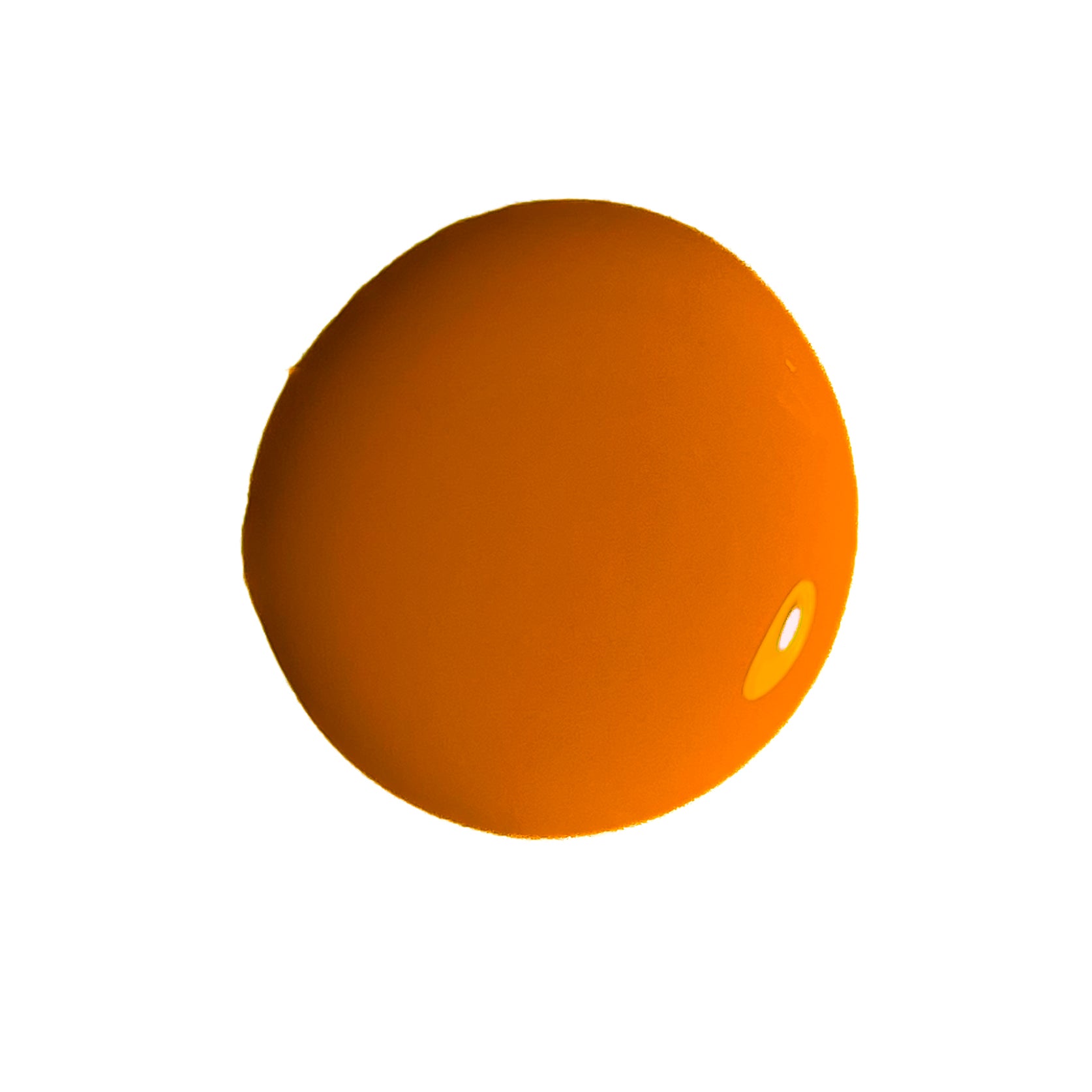 Learn about linseed oil paint. Wood won't rot and metal wont rust