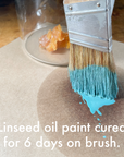 Linseed Oil Soap Concentrate