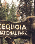 National Park Service and Forest Service Sign Brown FED-STD 20059
