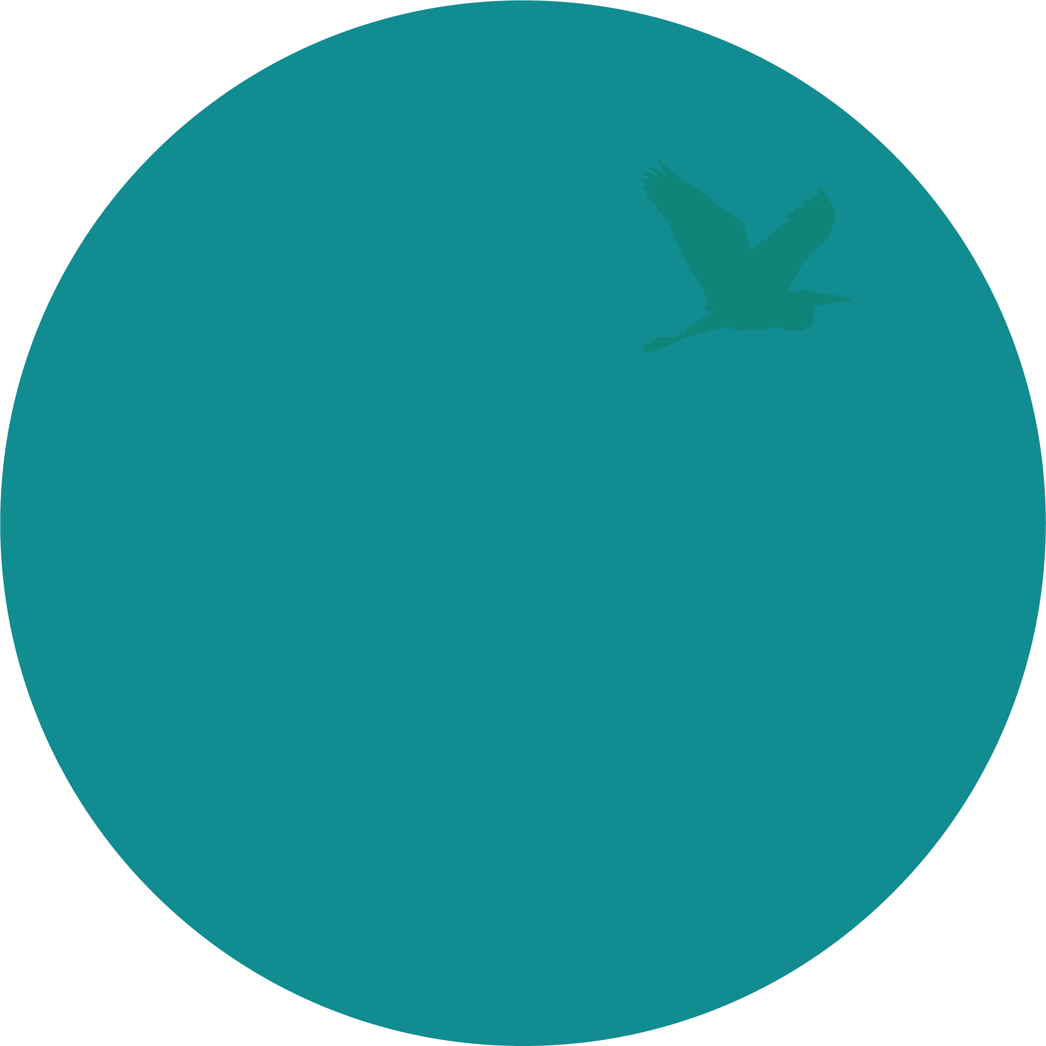 Linseed Oil Paint Kenai Heron Linseed Oil Paint