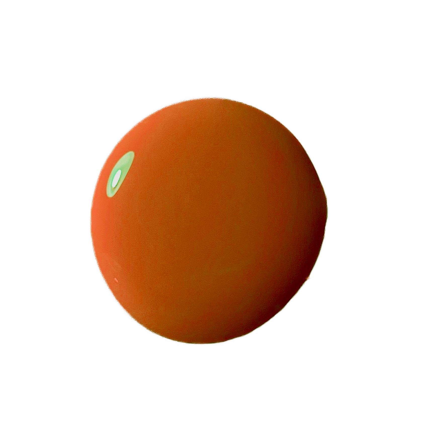 Linseed Oil Paint A traditional house finish made in the USA Heron