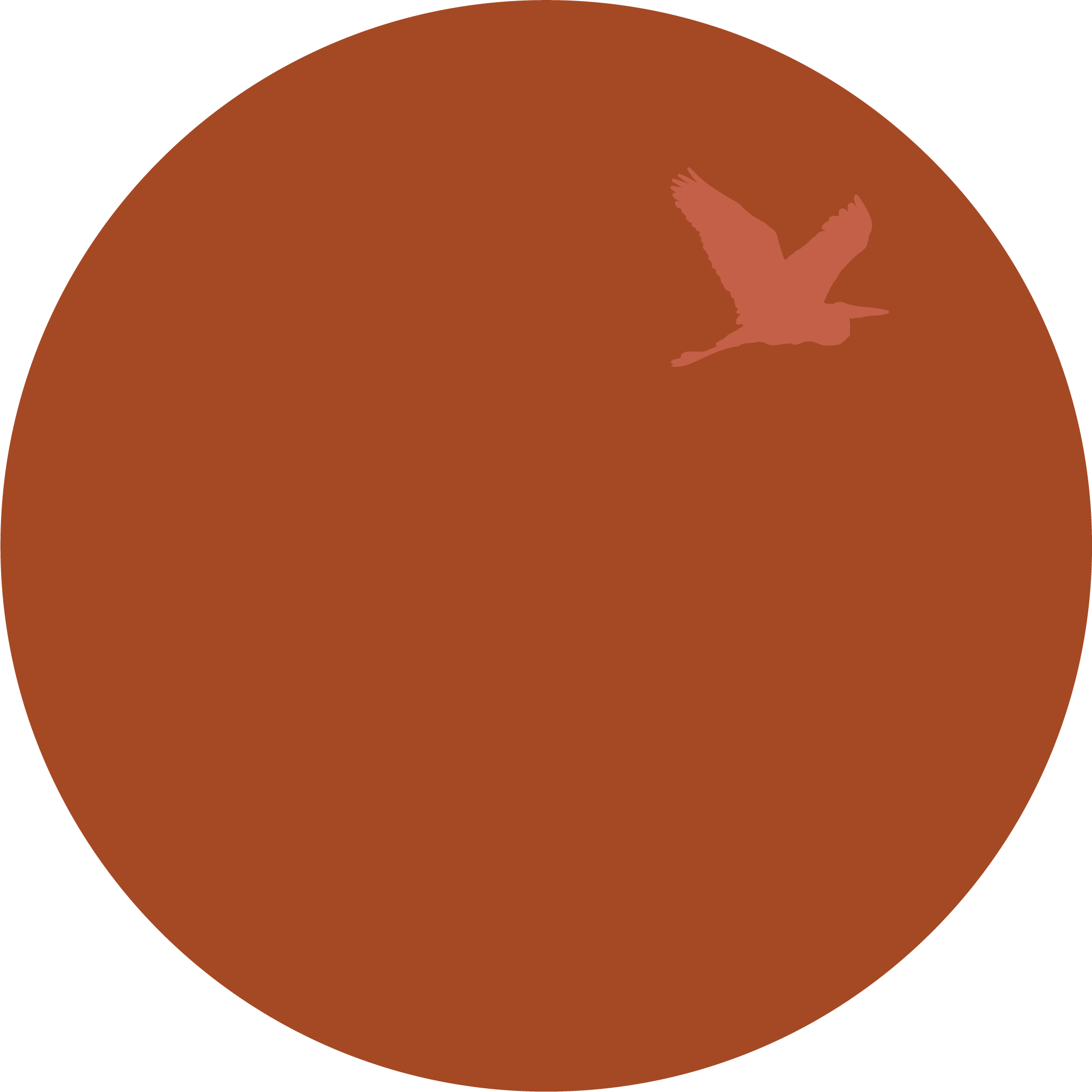 Linseed Oil Paint A traditional house finish made in the USA Heron