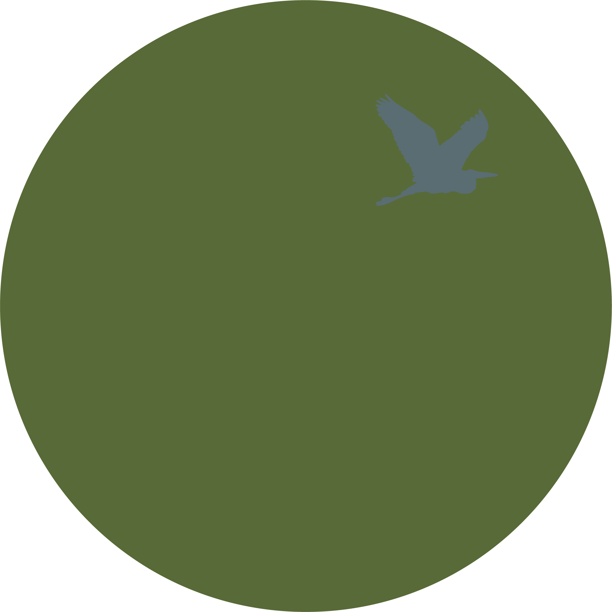 Antique paint colors for Historic Houses. Linseed Oil Paint for