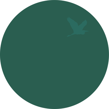 Solvent-Free, plastic-free linseed oil paint in dark green. 