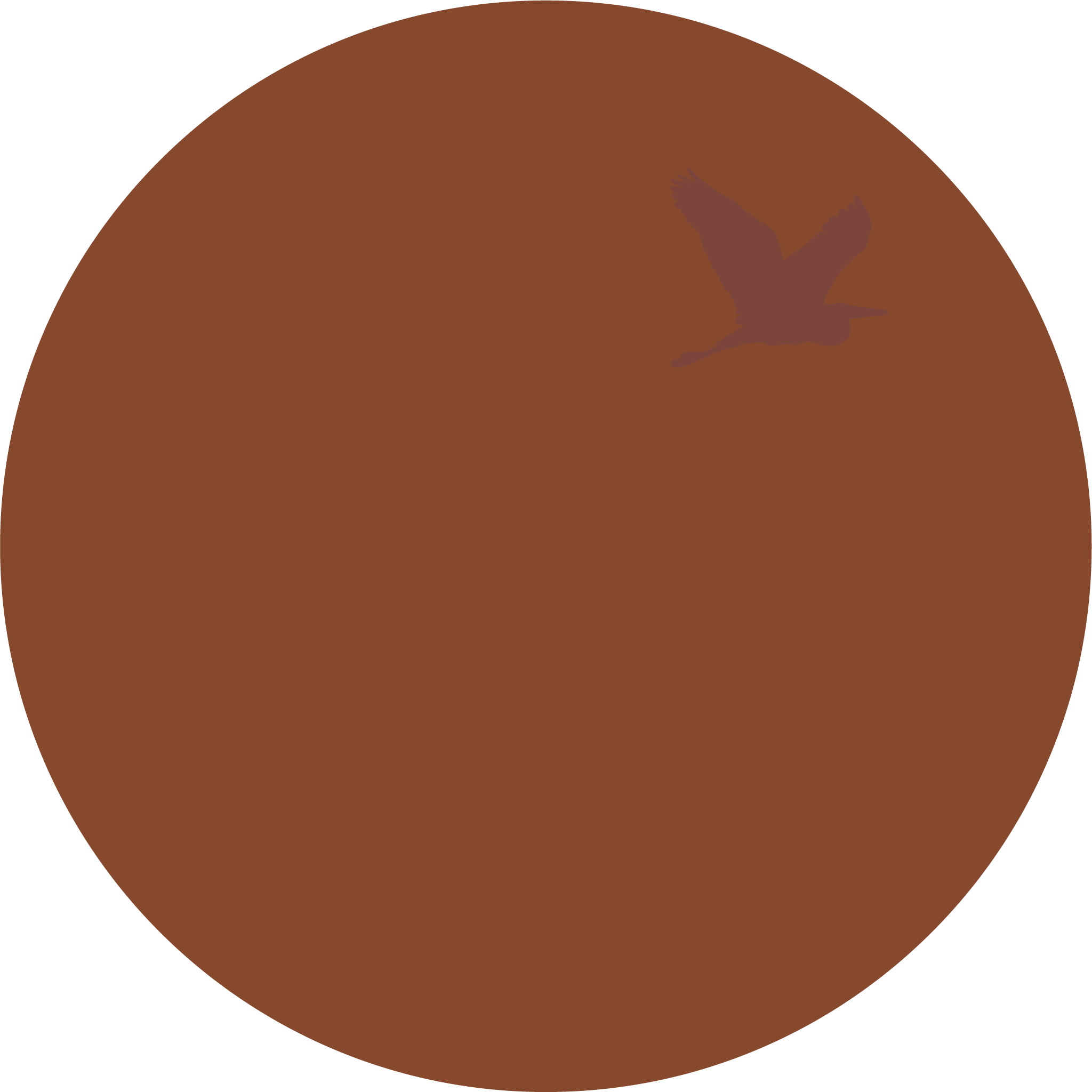 Linseed Oil Paint Natural Metal Primer Long lasting exterior paint